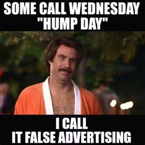 funny hump day photos